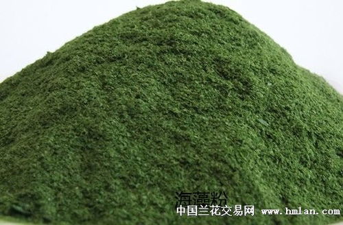蘭花專用有機肥的制作與使用指南
